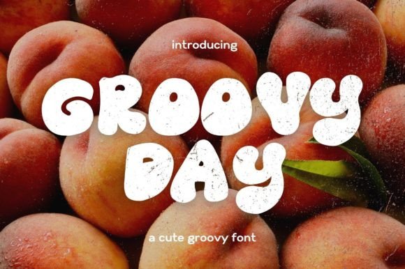 Groovy Day Font for Web Design Projects